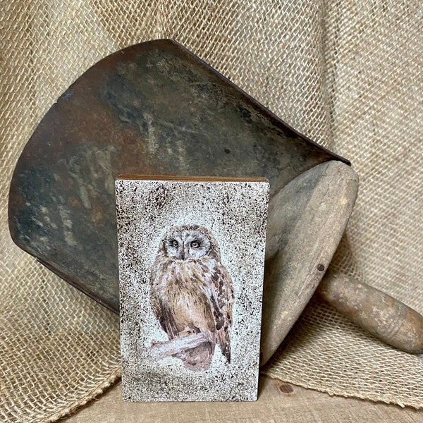 Owl wood block, owl shelf sitter, owl lover gift, nature decor, rustic accent