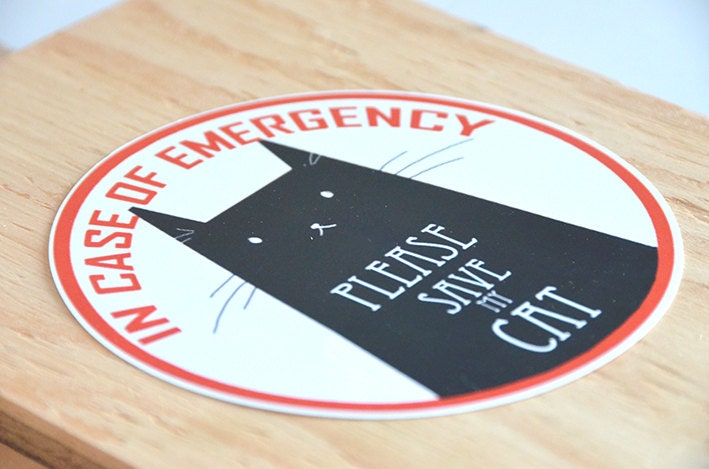 In Case of Emergency Please save my Cat