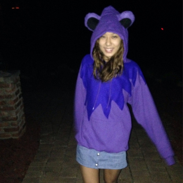 Grateful Dead Dancing Bear Hoodie Costume - MADE TO ORDER