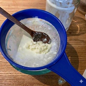 Milk Kefir Grains – Live Heirloom Culture, Organic Raw Milk Fed, Fast Growing imagen 2