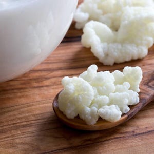 Live Milk Kefir Grains Organic Raw Grass Fed Family Farm