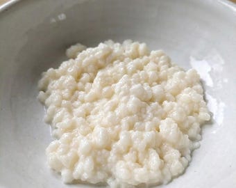 Milk Kefir Grains – Live Heirloom Culture, Organic Raw Milk Fed, Fast Growing