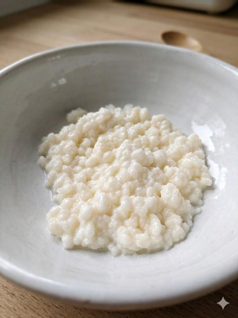 Puede incluir: Primer plano de un cuenco de cer&aacute;mica blanco lleno de una sustancia cremosa, blanquecina y granulada. La sustancia parece k&eacute;fir o un alimento fermentado similar. El cuenco est&aacute; sobre un fondo claro.