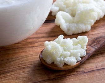 Live Milk Kefir Grains Organic Raw Grass Fed Probiotics Lactobacillus Gut Health eBook Family Farm