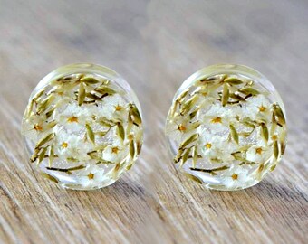 real pressed dried flower plugs resin Gauges double flare plug floral Plug 4g 2g 0g 00g 1/2 9/16 5/8 11/16 13/16 13/16 7/8 inch 15/16 1in 2