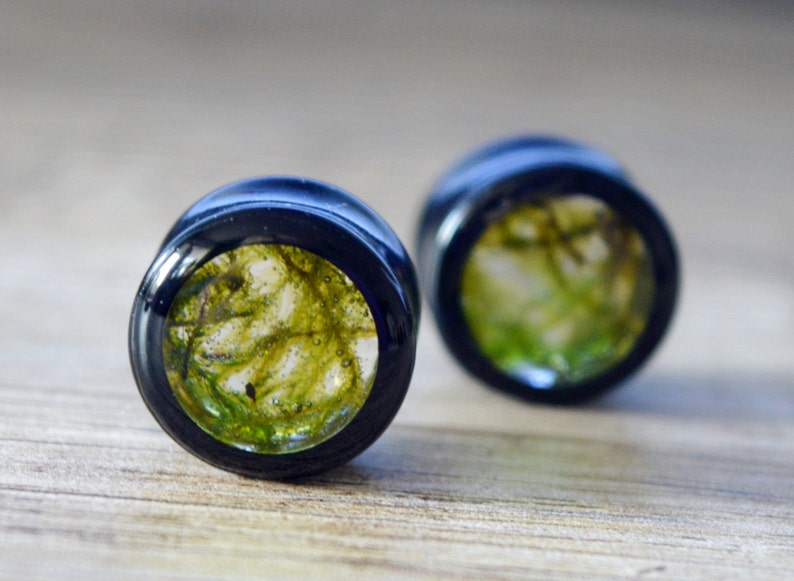 moss plugs real moss gauges green plugs floral gauges Girly plugs ear tunnels unique Gauge Plug Earrings 2g 0g 00g 12 916 58 1116 1316
