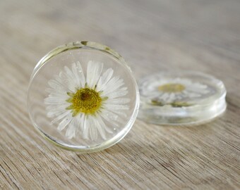 real daisy plugs flowers plugs wedding gauges ear gauges floral plug resin plugs real flower gauges flower Plugs flower unique ear tunnel