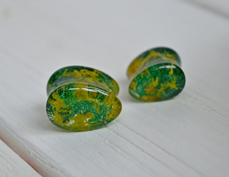 real moss plugs green yellow jewelry Real plant plug and tunnel unique Teardrop plugs Tear Drop gauges dropshaped tunnels terrarium earrings