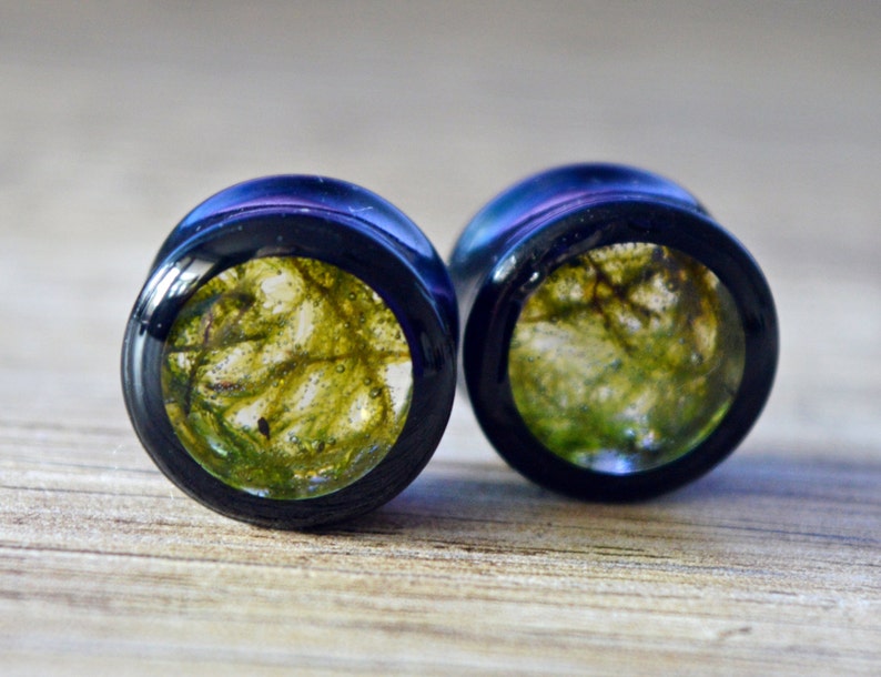 moss plugs real moss gauges green plugs floral gauges Girly plugs ear tunnels unique Gauge Plug Earrings 2g 0g 00g 12 916 58 1116 1316