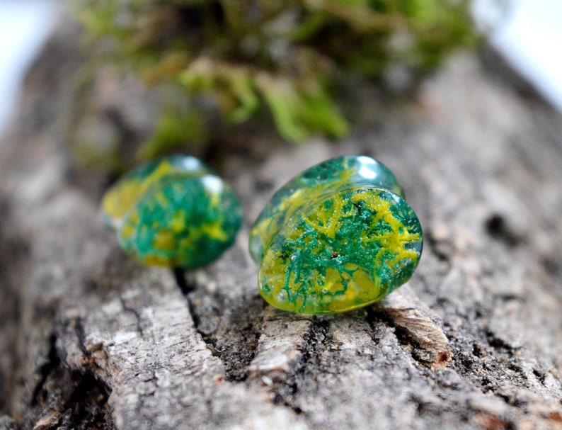 real moss plugs green yellow jewelry Real plant plug and tunnel unique Teardrop plugs Tear Drop gauges dropshaped tunnels terrarium earrings