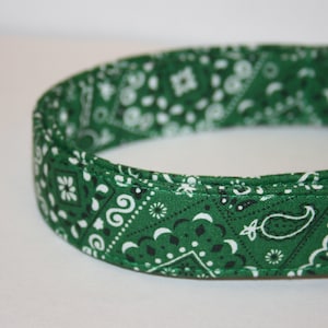 May include: Green bandana dog collar with a white paisley pattern.