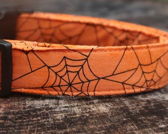 May include: Orange dog collar with a black spiderweb pattern.