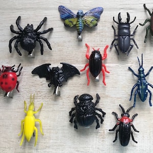 Haarclip griezelig kruipen leuk Halloween Goth kostuum verjaardagsfeestje gunst natuurliefhebber kever insect spin vleermuis dood nachtvlinder entomoloog