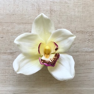 Orchid Hair Clip Large Cream White Silk Flower Cymbidium Mermaid Costume Pin Up Surfer Girl Beach Wedding Tropical Hawaii Luau Music Fest