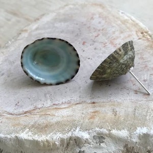 Limpet Shell Earrings Blue Green Beach Jewelry Stud Post Mermaid Costume Hawaiian Luau Summer Party Wedding Ocean Sea Island Surfer Girl
