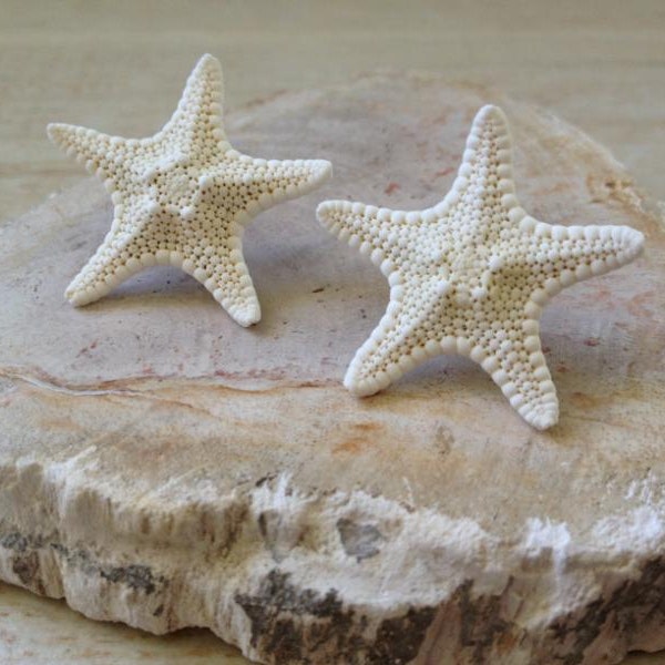 Starfish Earrings Beach Jewelry Mermaid Costume Halloween Ocean Seashore Surfer Girl Little Mermaid Pool Party Nautical Cute Small Real