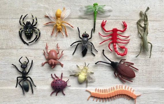 12 Pcs Large Insects And Bugs For Kids | Singapore