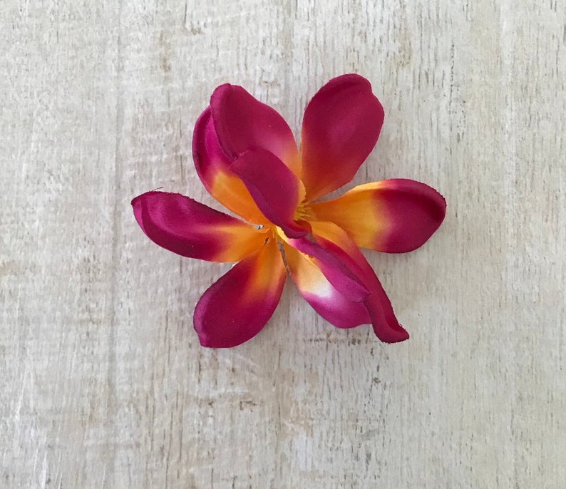 May include: A single pink and yellow plumeria flower with five petals.