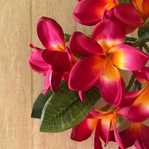 May include: A cluster of pink and yellow plumeria flowers with green leaves. The flowers are arranged in a circular pattern, with the petals overlapping.