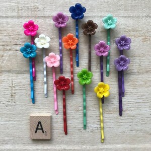 May include: Assortment of 14 colorful flower hair clips with a wavy metal bar. The clips are arranged on a wooden surface with a letter tile that reads "A1".