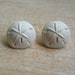 Sand Dollar Earrings Beach Jewelry Ocean Seashore Surfer Girl Little Mermaid Costume Summer Pool Birthday Party Favor Outdoor Beach Wedding 