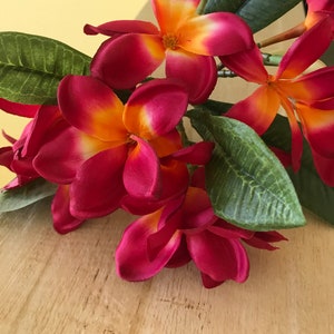 May include: A bouquet of pink and orange plumeria flowers with green leaves. The flowers are arranged in a cluster, with the pink petals overlapping each other. The flowers have a yellow center and are surrounded by green leaves.