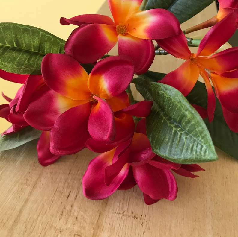 May include: A bouquet of pink and orange plumeria flowers with green leaves. The flowers are arranged in a cluster, with the pink petals overlapping each other. The flowers have a yellow center and are surrounded by green leaves.