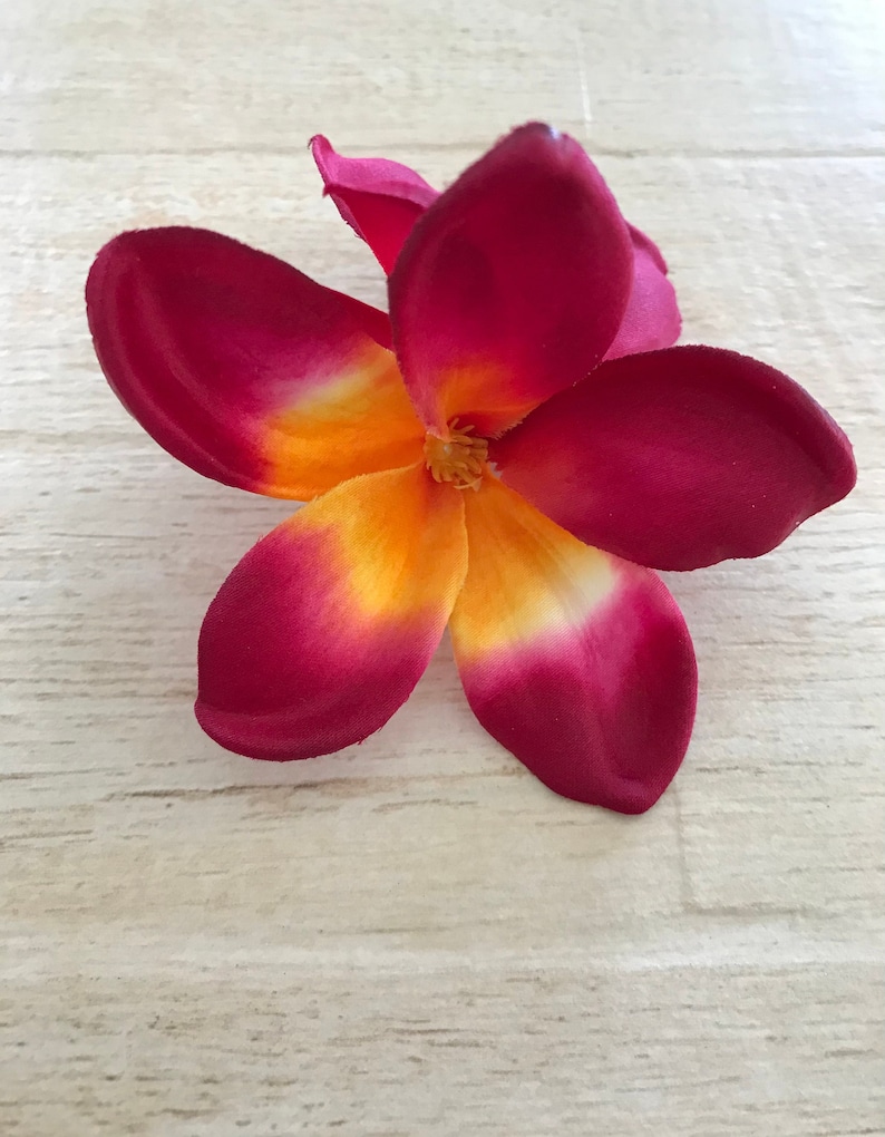 May include: A single red and yellow plumeria flower with five petals.