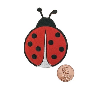 以下が含まれることがあります： 黒点と触角のある赤いテントウムシ。テントウムシは日本の1円玉と同じくらいの大きさです。