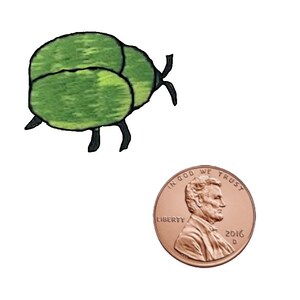 May include: A green beetle with black legs and antennae. The beetle is about the size of a US penny.
