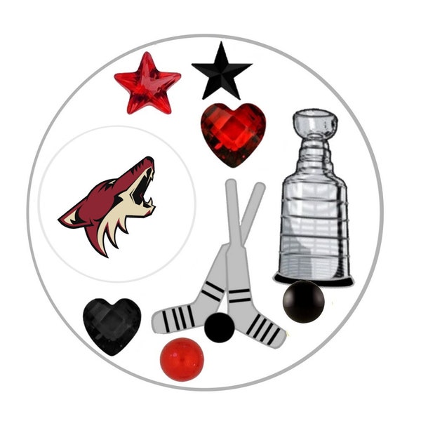 NHL FLOATING LOCKET Charms Ducks, Coyotes, Bruins, Sabres, Hurricanes, Blackhawks, Avalanche, Blue Jackes, Stars, Red Wings