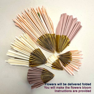 Pode incluir: Cinco leques de flores de papel em tons de rosa e branco com detalhes dourados. As flores est&atilde;o dobradas e prontas para serem desdobradas. O texto "As flores ser&atilde;o entregues dobradas. Voc&ecirc; far&aacute; as flores florescerem. As instru&ccedil;&otilde;es s&atilde;o fornecidas." est&aacute; escrito abaixo das flores.