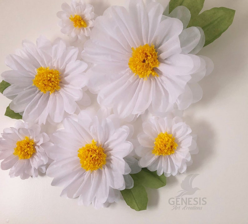 May include: A cluster of white paper daisies with yellow centers. The daisies are arranged in a bouquet with green leaves.
