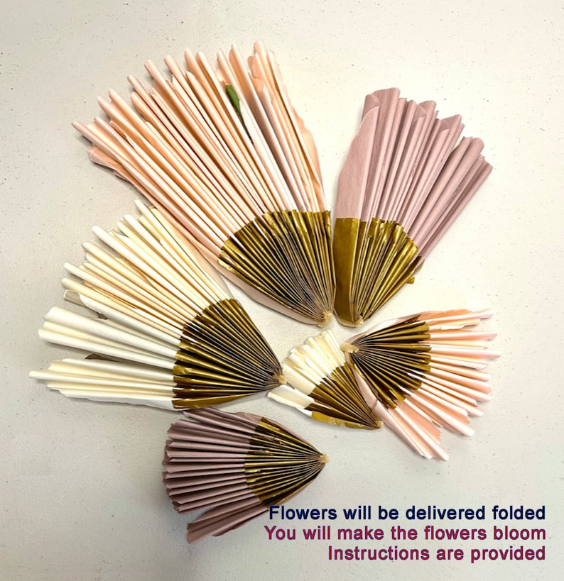 Puede incluir: Cinco abanicos de flores de papel en tonos rosa y blanco con detalles dorados. Las flores est&aacute;n dobladas y listas para desplegarse. El texto "Las flores se entregar&aacute;n dobladas. Har&aacute;s que las flores florezcan. Se proporcionan instrucciones." est&aacute; escrito debajo de las flores.