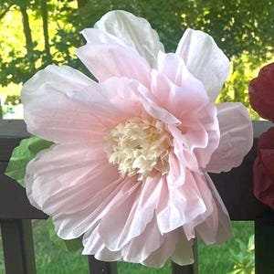 Puede incluir: Una gran flor de papel hecha a mano en tonos rosa p&aacute;lido y blanco. La flor presenta p&eacute;talos en capas y un centro texturizado de color crema. Una hoja verde est&aacute; unida al costado. Es un art&iacute;culo decorativo.