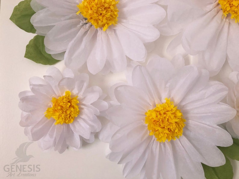 May include: Four white tissue paper daisies with yellow centers. The daisies are arranged on a white background.