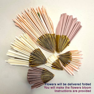 Puede incluir: Arreglo de flores de papel plegadas en tonos rosa, crema y dorado. Las flores est&aacute;n abanicadas, con detalles dorados en la base. El texto en la parte inferior dice: "Las flores se entregar&aacute;n plegadas. Har&aacute;s florecer las flores. Se proporcionan instrucciones."