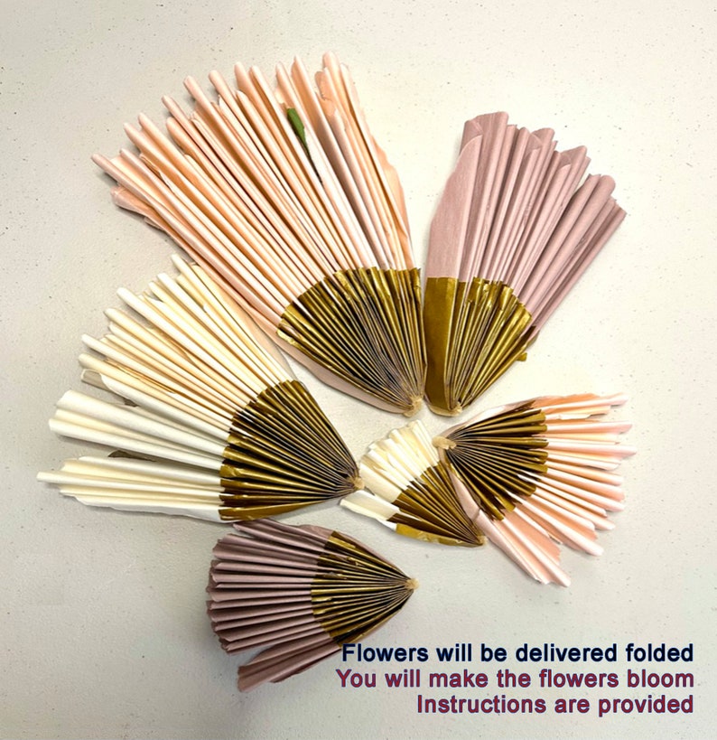 Puede incluir: Arreglo de flores de papel plegadas en tonos rosa, crema y dorado. Las flores est&aacute;n abanicadas, con detalles dorados en la base. El texto en la parte inferior dice: "Las flores se entregar&aacute;n plegadas. Har&aacute;s florecer las flores. Se proporcionan instrucciones."