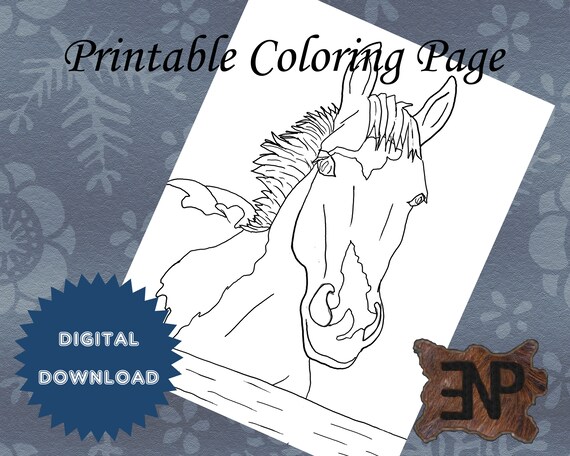 Printable Horse Coloring Page Instant Digital Download | Etsy