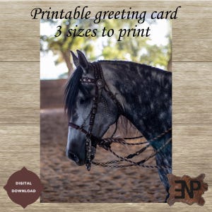 Carte de correspondance imprimable en téléchargement numérique instantané de cheval de bride - 3 tailles de carte incluses dans les fichiers JPG