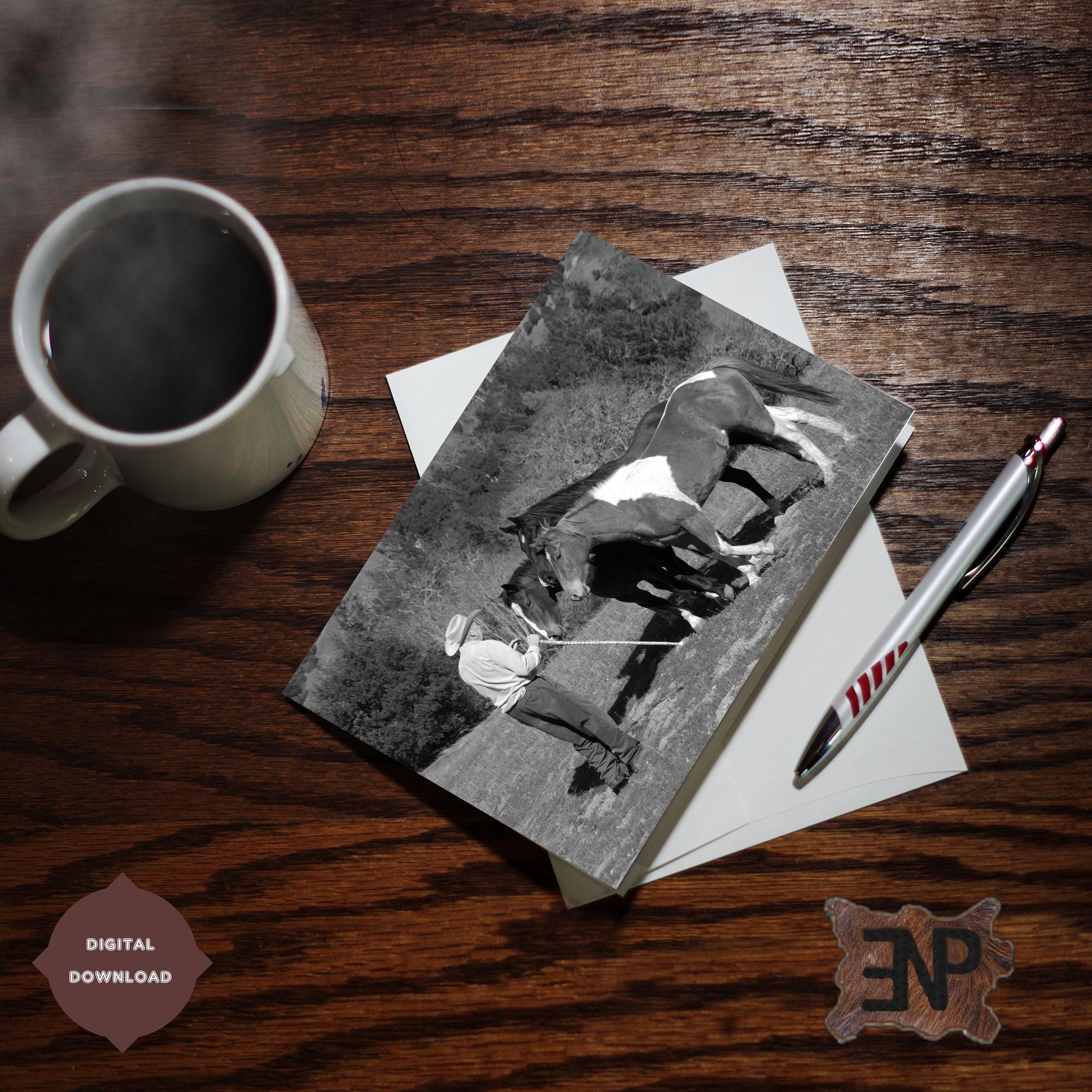 自身の映画に出演する監督のリスト – HiSoUR – Ciao, così sei, image size:2500x2500