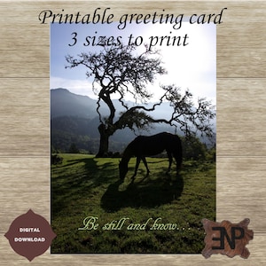 Carte photo cheval « Ne bougez pas et sachez… » - Carte de correspondance imprimable en téléchargement numérique instantané - 3 tailles de carte incluses dans des fichiers JPG de 300 ppi