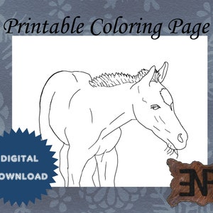 Printable Horse coloring page - Instant Digital Download - Tinka - horse image artwork for kids - 8.5&quot; x 11&quot; PDF & JPG (300ppi)