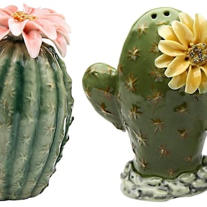 Pair of Cactus Flowers Salt and Pepper Shakers - 20893