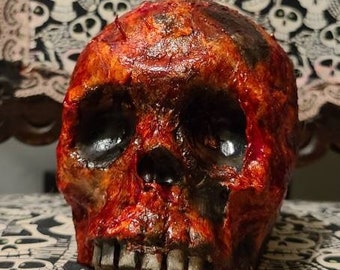 Realistic Latex corpsed human skull