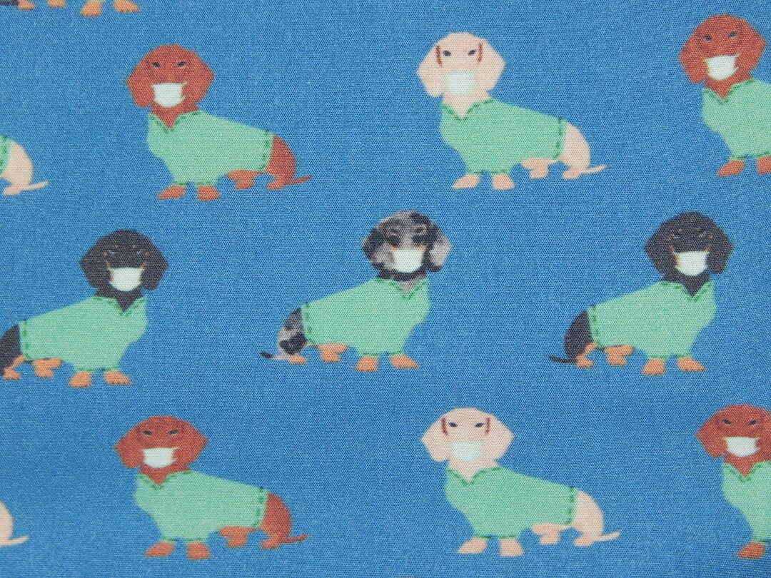 Scrub Caps Showing Dachshunds in Green Scrub Clothes on Blue Background