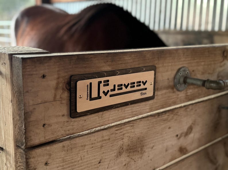 Stall Letters BLM Mustang Custom Wood Horse Stall Sign | Barn Stall Name Plaque ...
