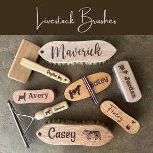 Livestock Brushes - 4H, Homestead, Show Pig, Show Steer, Show Goat, Show Lamb, County Fair Custom Personalized Brushes