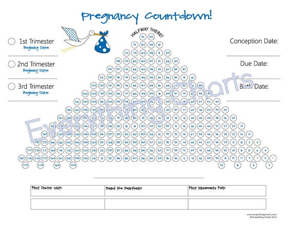 Pregnancy Countdown Chart