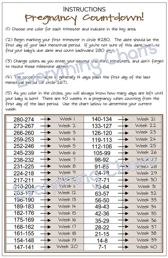 Pregnancy Chart Pdf